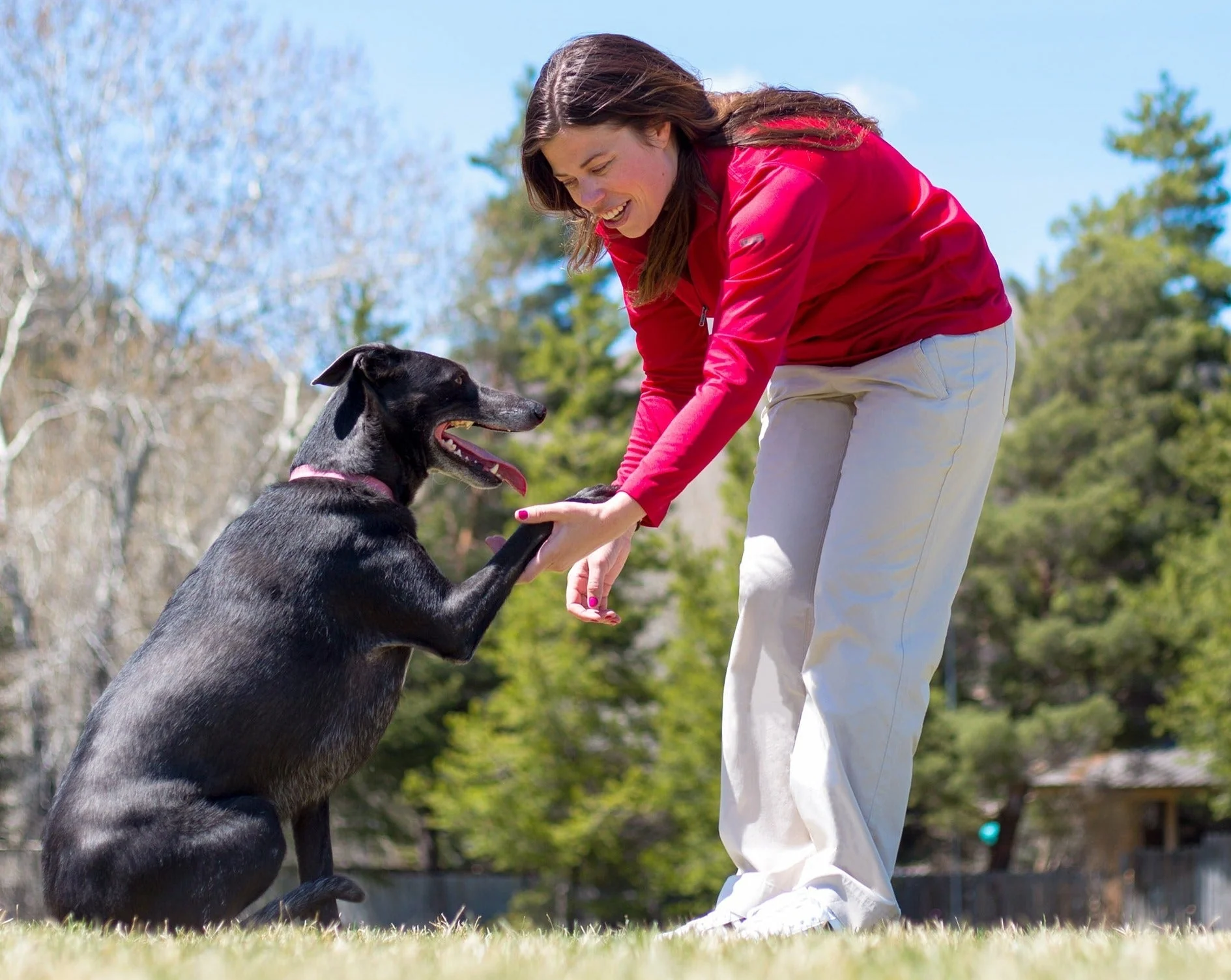 Susie Qzip Sport - Image 27
